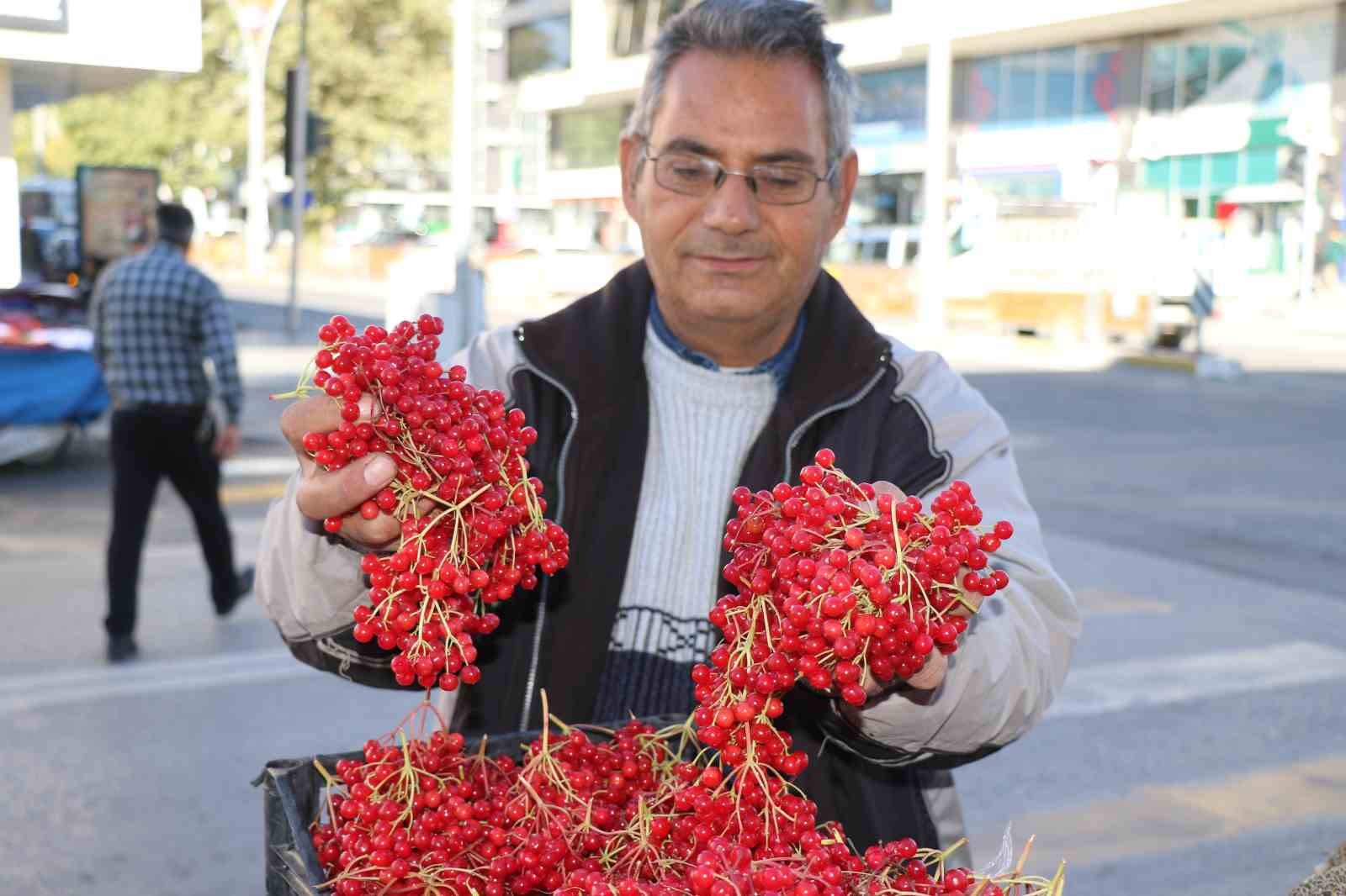 Erzincan’da şifa deposu gilaburuya yoğun ilgi