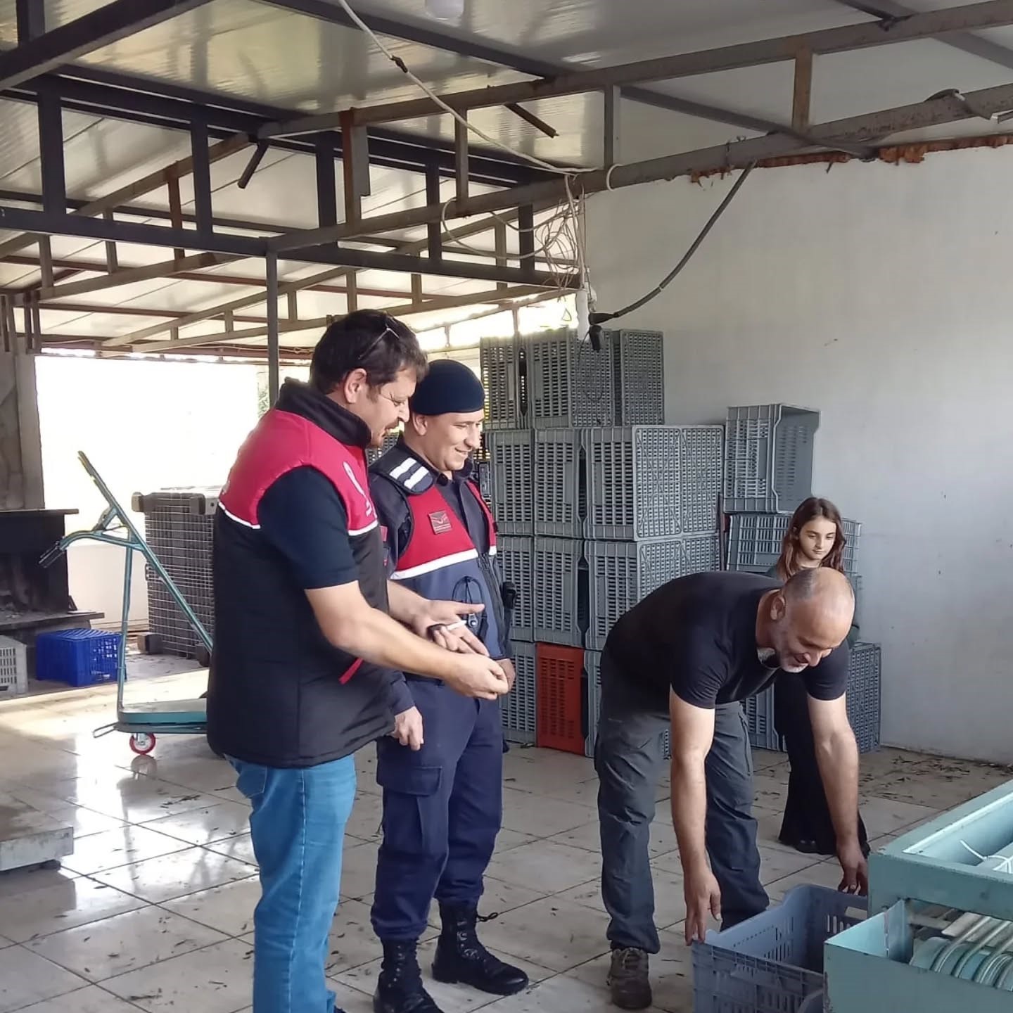 Zeytin hırsızlıklarının karşı denetim