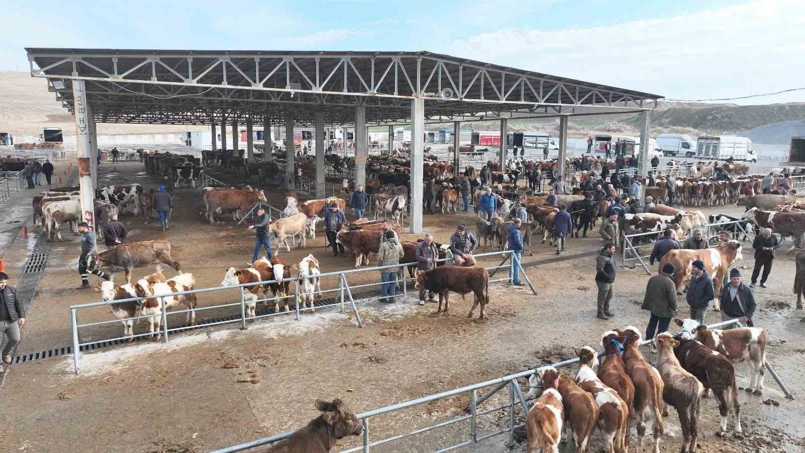 Şap tehlikesi nedeniyle kapatılmıştı, Sorgun Hayvan Pazarı 5 ay sonra yeniden açıldı
