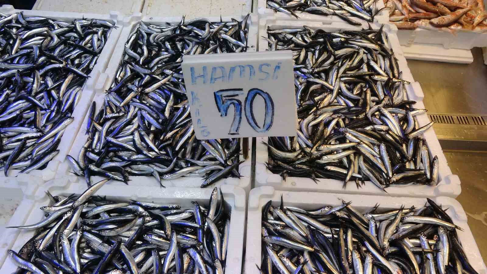 Trabzonlular hamsiye doydu
