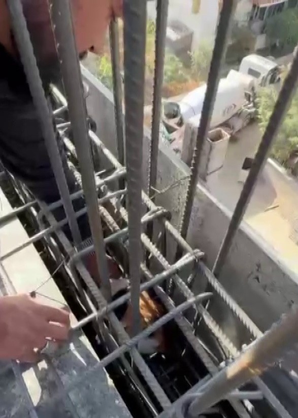 Kedi, dökülen betonun altında kalmaktan son anda kurtarıldı