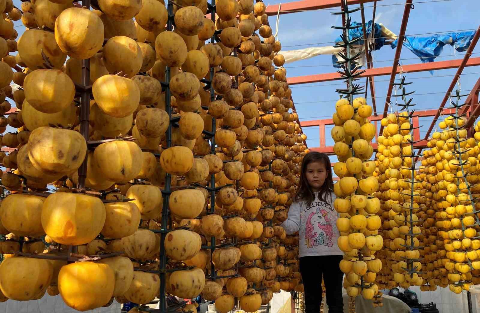 Alaşehir&rsquo;de ilk kez &rsquo;Cennet Hurması Festivali&rsquo; d&uuml;zenlenecek
