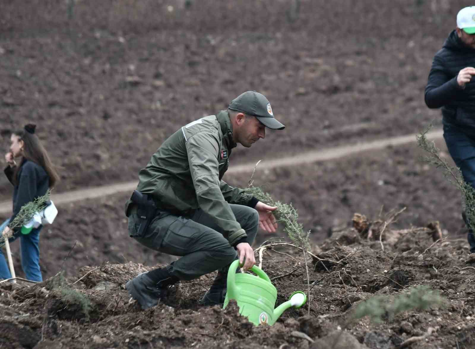 Manisa’da 2025 sonuna kadar 3,1 milyon fidan toprakla buluşacak