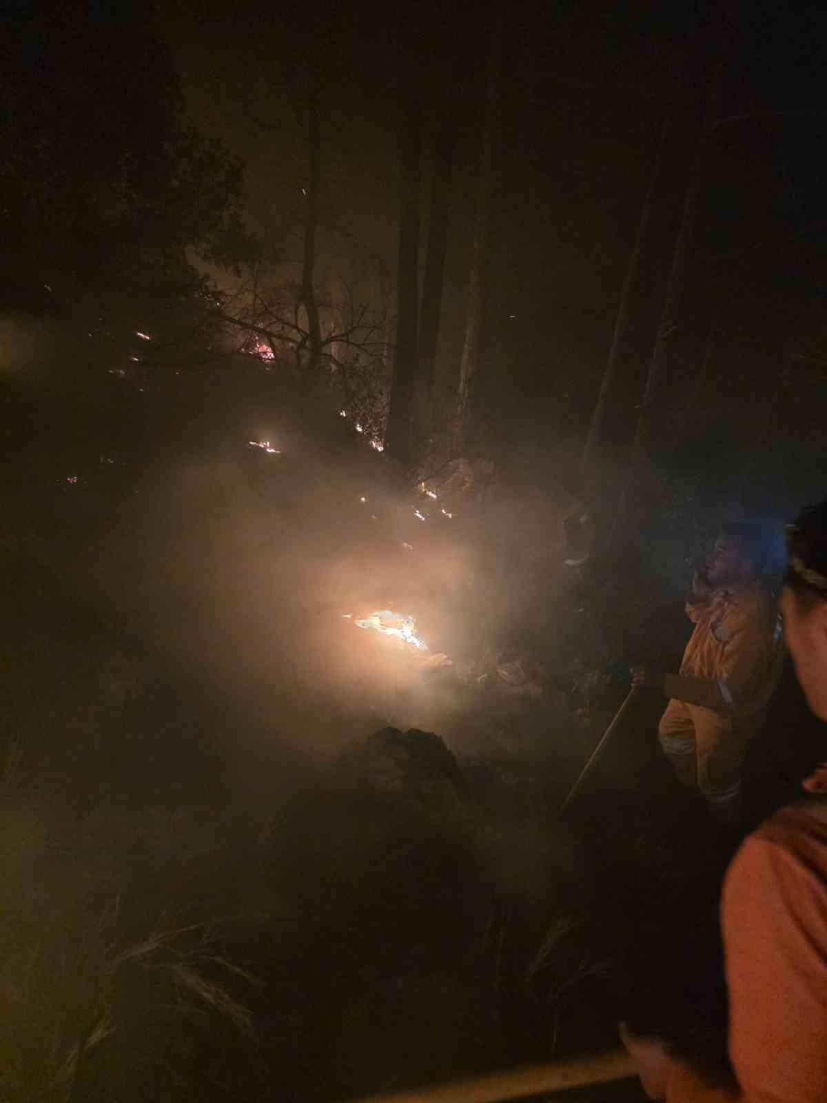 Hatay&rsquo;da yıldırımın d&uuml;şt&uuml;ğ&uuml; ormanlık alanda yangın &ccedil;ıktı
