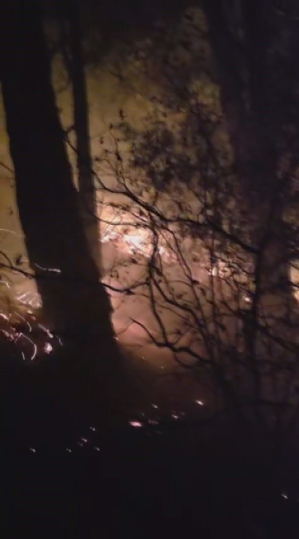 Hatay’da yıldırım düşmesiyle çıkan orman yangına müdahale devam ediyor