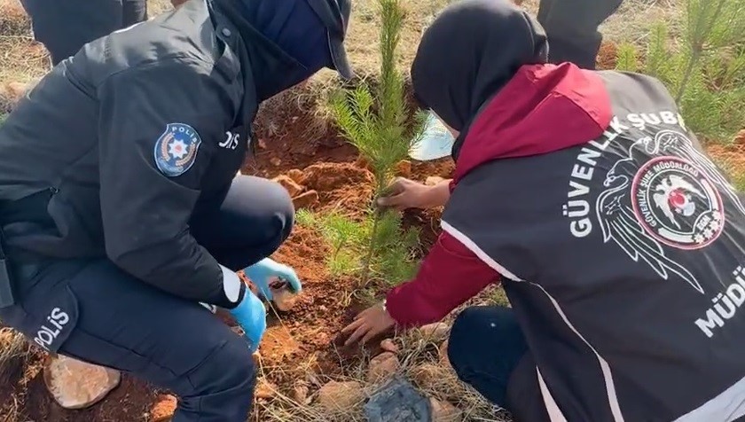 Bayburt emniyetine ait hatıra ormanı oluşturuldu
