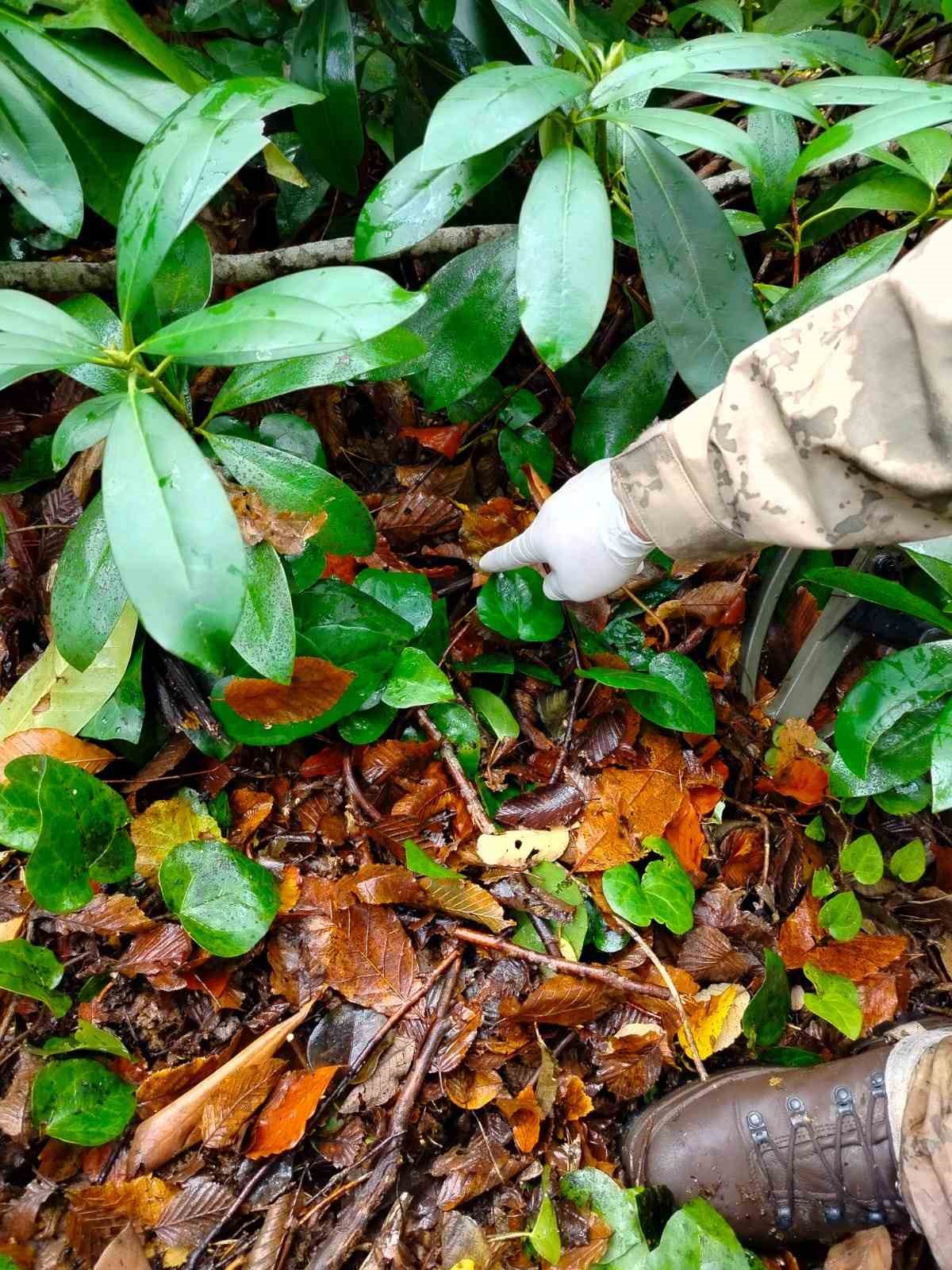 Kastamonu’da dere yatağında ölü bulunan anneye ait cep telefonu da bulundu
