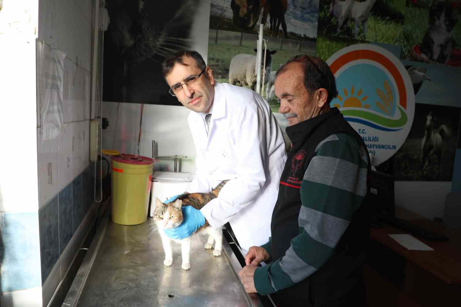 Uşak’ta kedi ve köpek sahiplerine mikroçip uyarısı