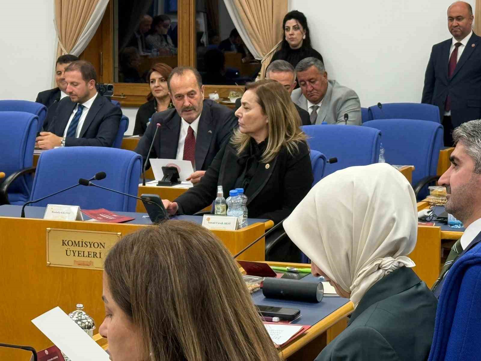 Tamer Osmanağaoğlu’ndan bütçe görüşmelerinde Aliağa vurgusu