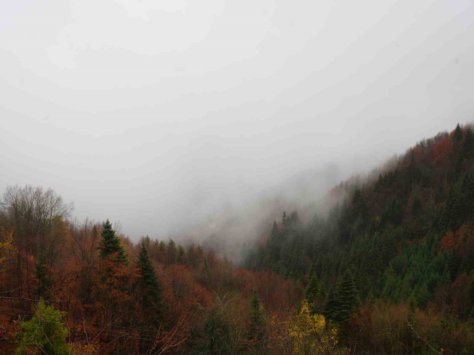 Kastamonu’da Yaralıgöz geçidinde sis nedeniyle görüş mesafesi düştü
