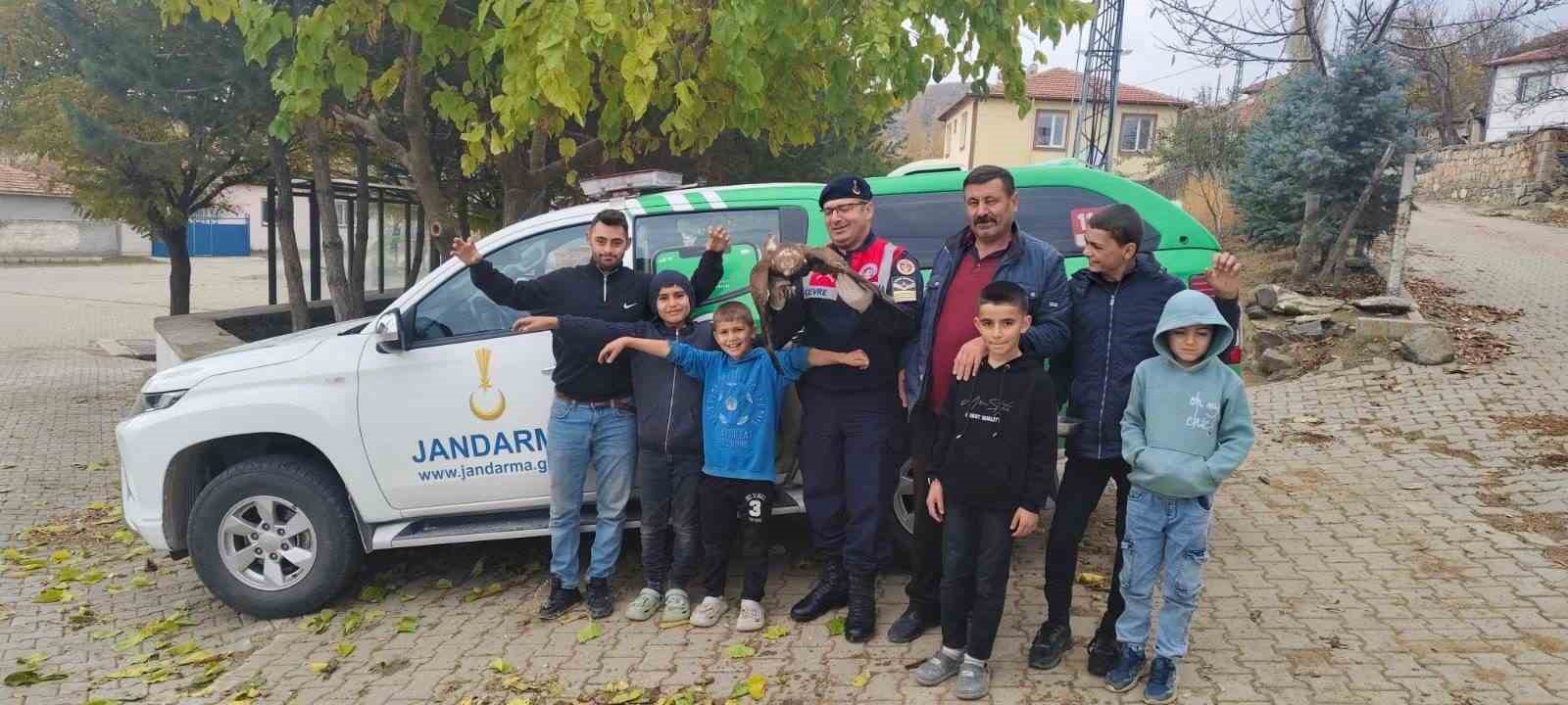 Yozgat’ta bulunan yaralı kızıl şahin çocukların ilgi odağı oldu