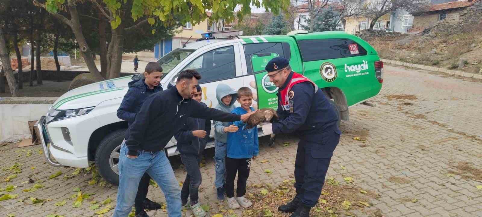 Yozgat’ta bulunan yaralı kızıl şahin çocukların ilgi odağı oldu
