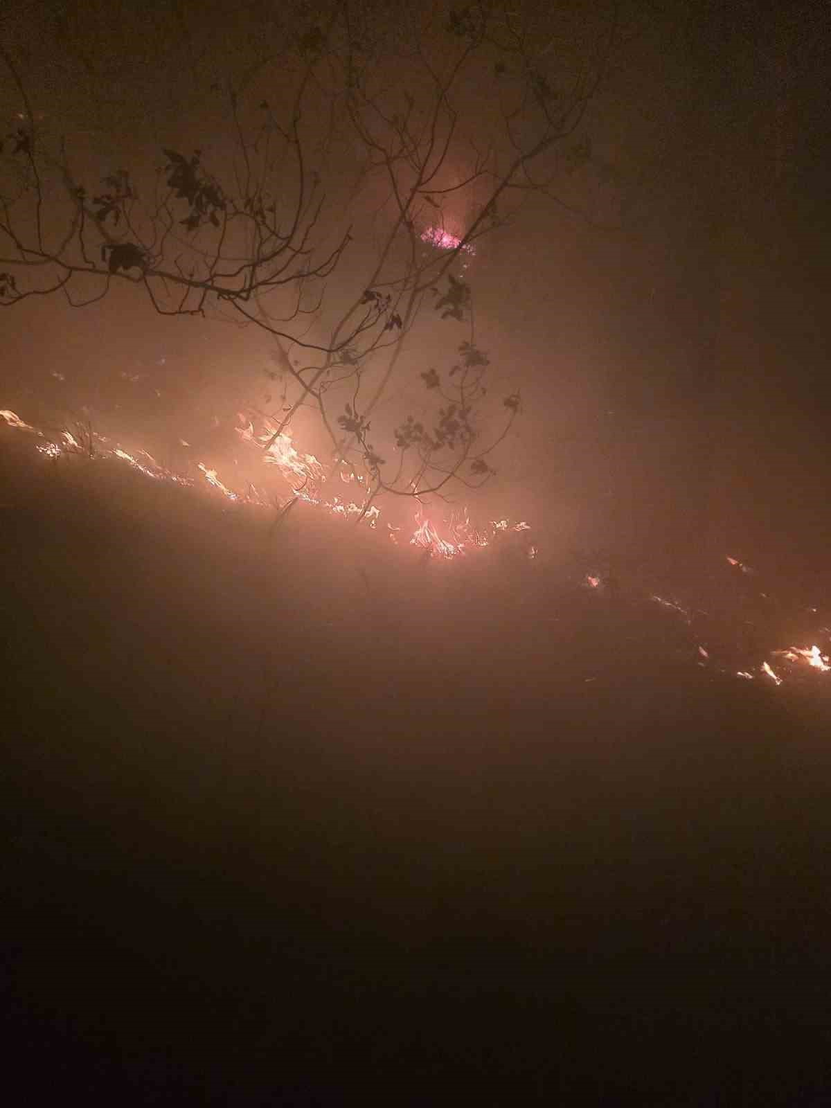 Hatay’da yıldırımın düştüğü ormanlık alandaki yangın 16’ncı saatte kontrol altına alındı