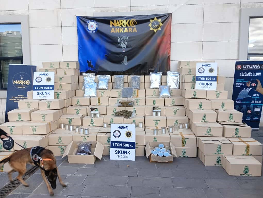 Tayland’dan Türkiye’ye 1 buçuk tonluk skunk sevkiyatı narkotik polisine takıldı