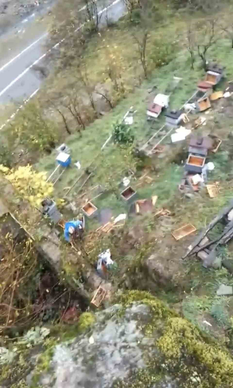 Araklı’da ayılar 50’den fazla kovanı telef etti