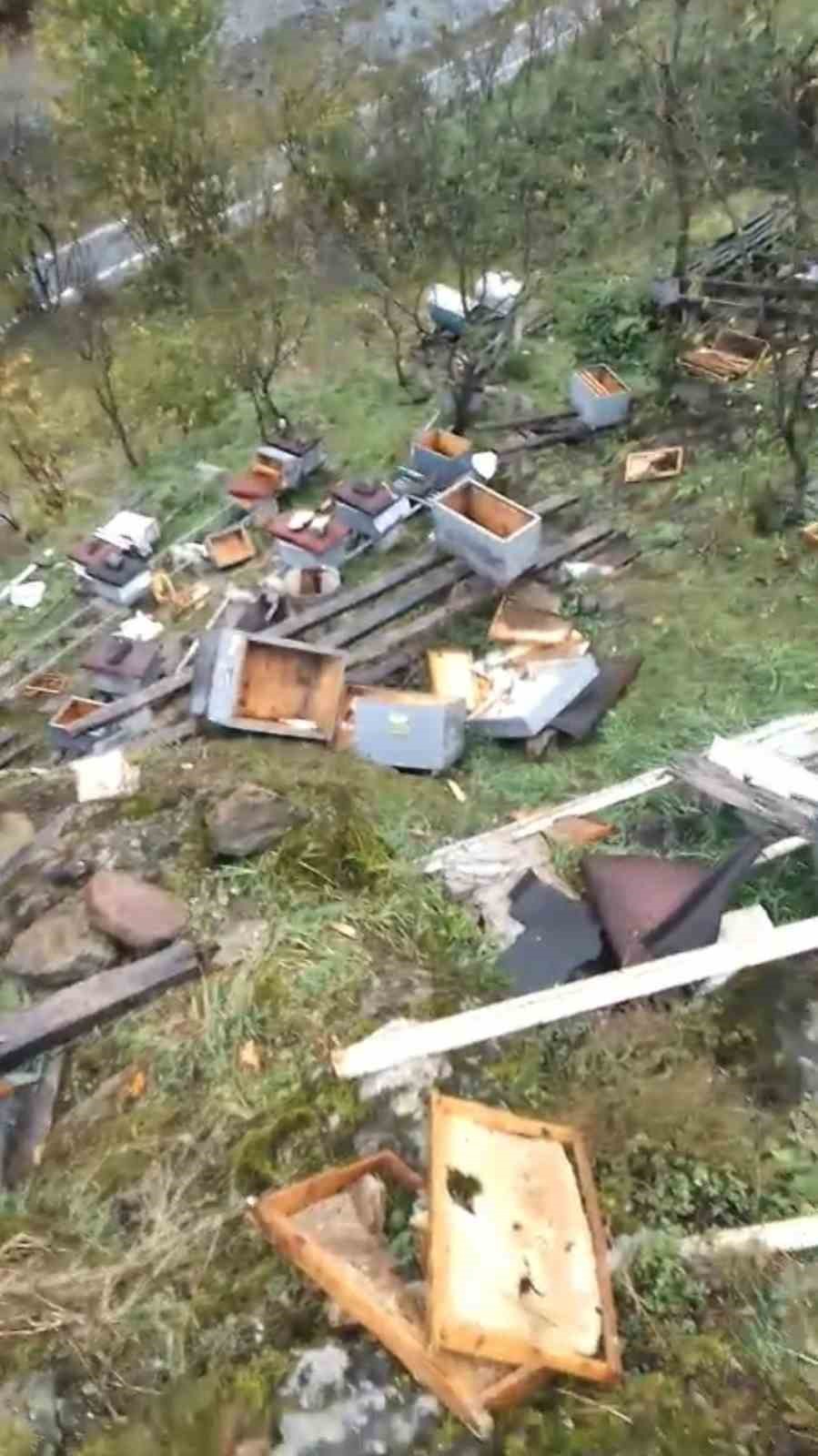 Araklı’da ayılar 50’den fazla kovanı telef etti
