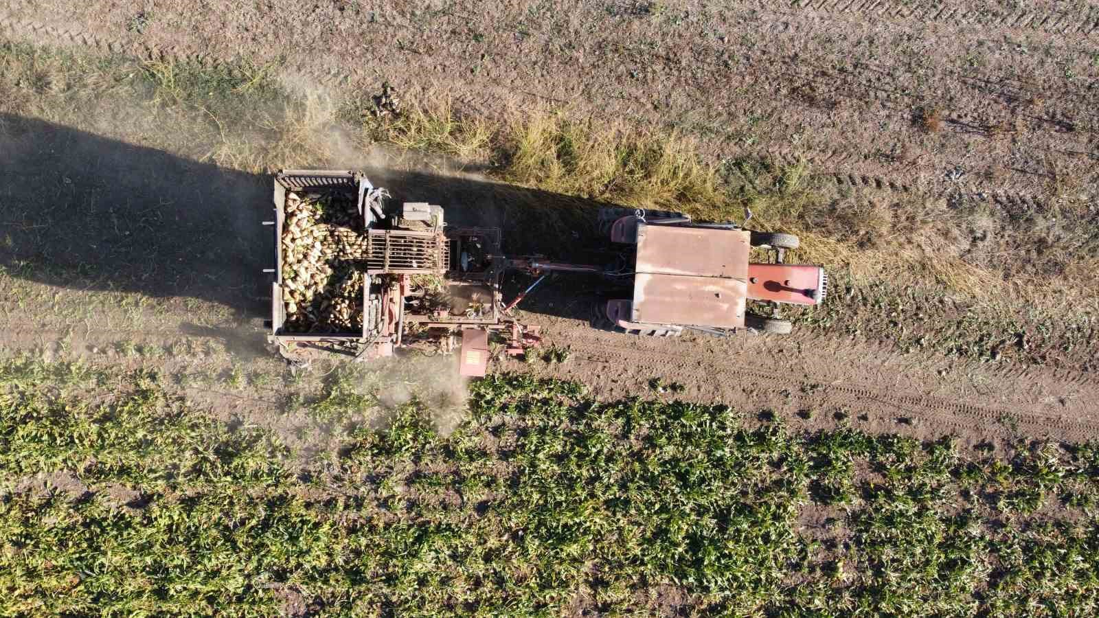 Yozgat’ta pancar mesaisi sürüyor, 6 aylık emeğin ürünleri yüzleri güldürüyor