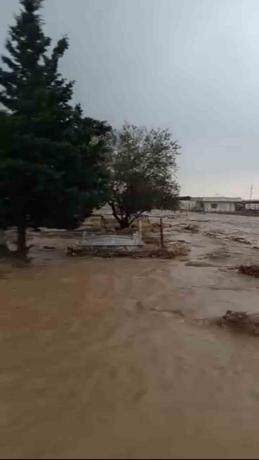 Mardin’de sağanak yağış sonucu dere taştı
