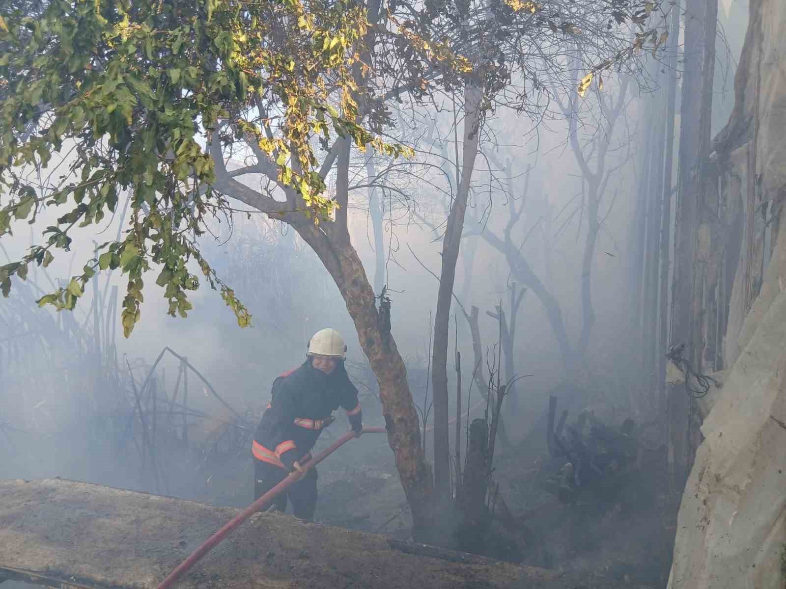 Bozyazı’da çıkan yangın seralara zarar verdi