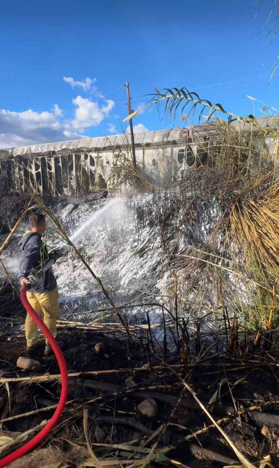 Bozyazı&rsquo;da &ccedil;ıkan yangın seralara zarar verdi
