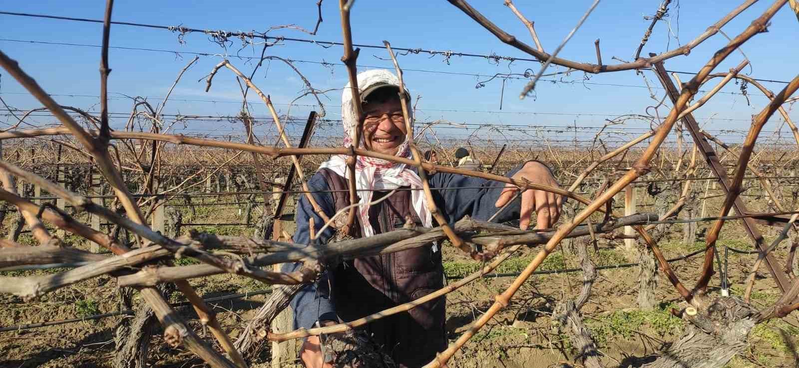 Sarıg&ouml;l&rsquo;de bağ budama iş&ccedil;i &uuml;cretleri belli oldu

