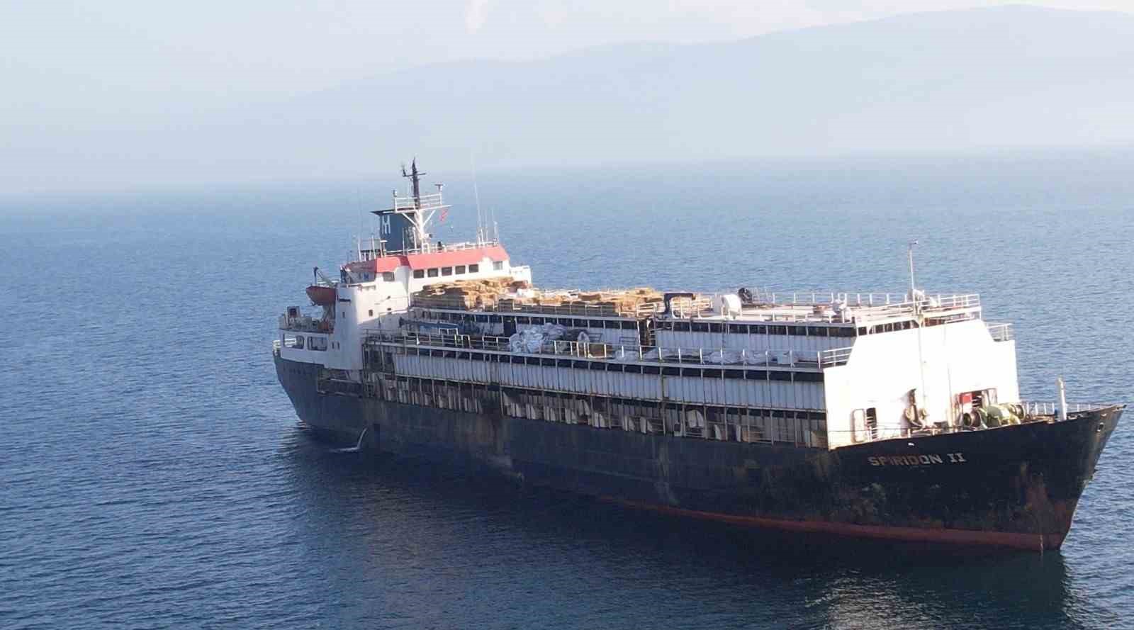 Bandırma açıklarında 24 gün bekletilen Spiridon II hayvan gemisi geri dönüş yolunda: Uzmanlardan "acil tehdit" uyarısı