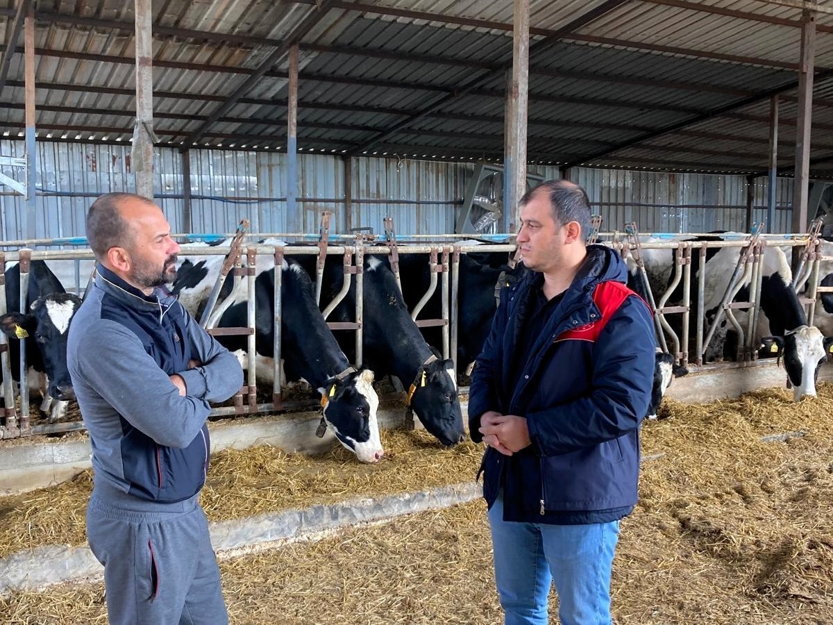 Pınarhisar’da ari hayvan işletmelerindeki çalışmalar incelendi