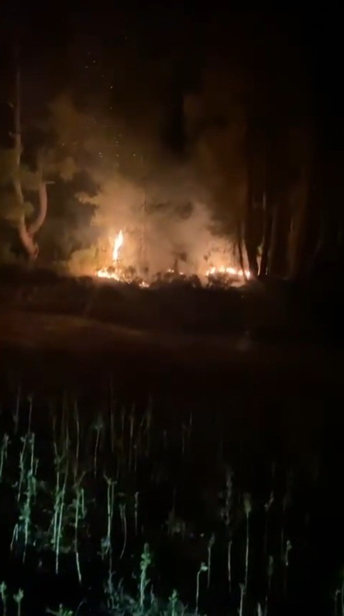 Muğla’da çıkan orman yangını kısa sürede kontrol altına alındı