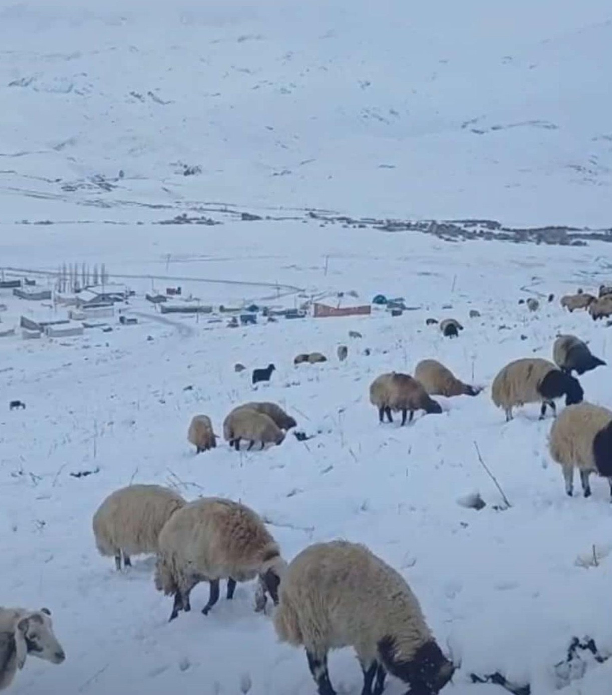 Şırnak’ta kar kalınlığı 20 santimetreyi aştı