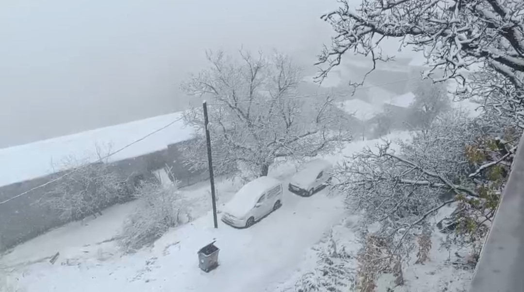 Van’ın Bahçesaray ilçesinde kar etkili oldu