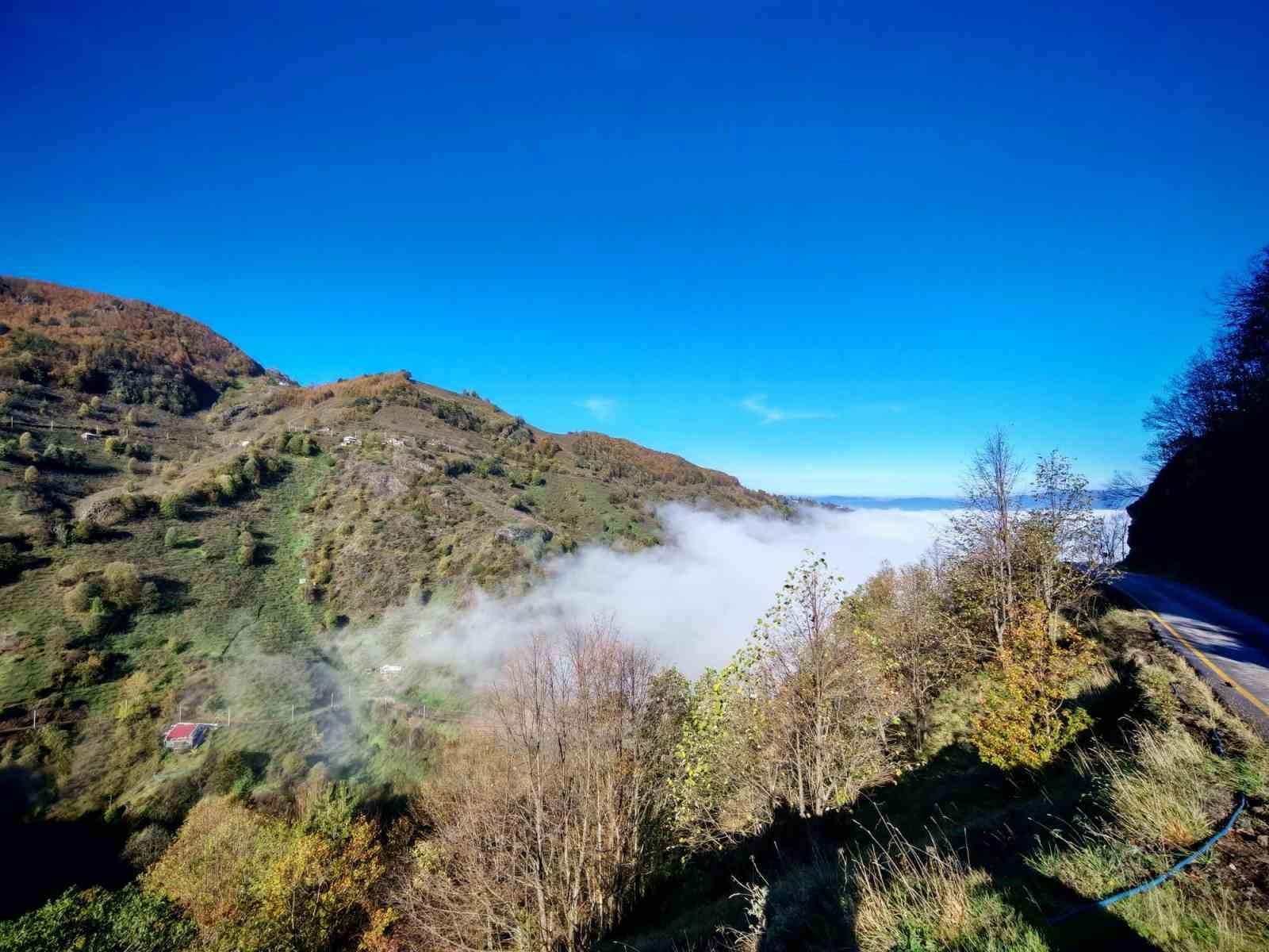 Düzce güne sisle uyandı