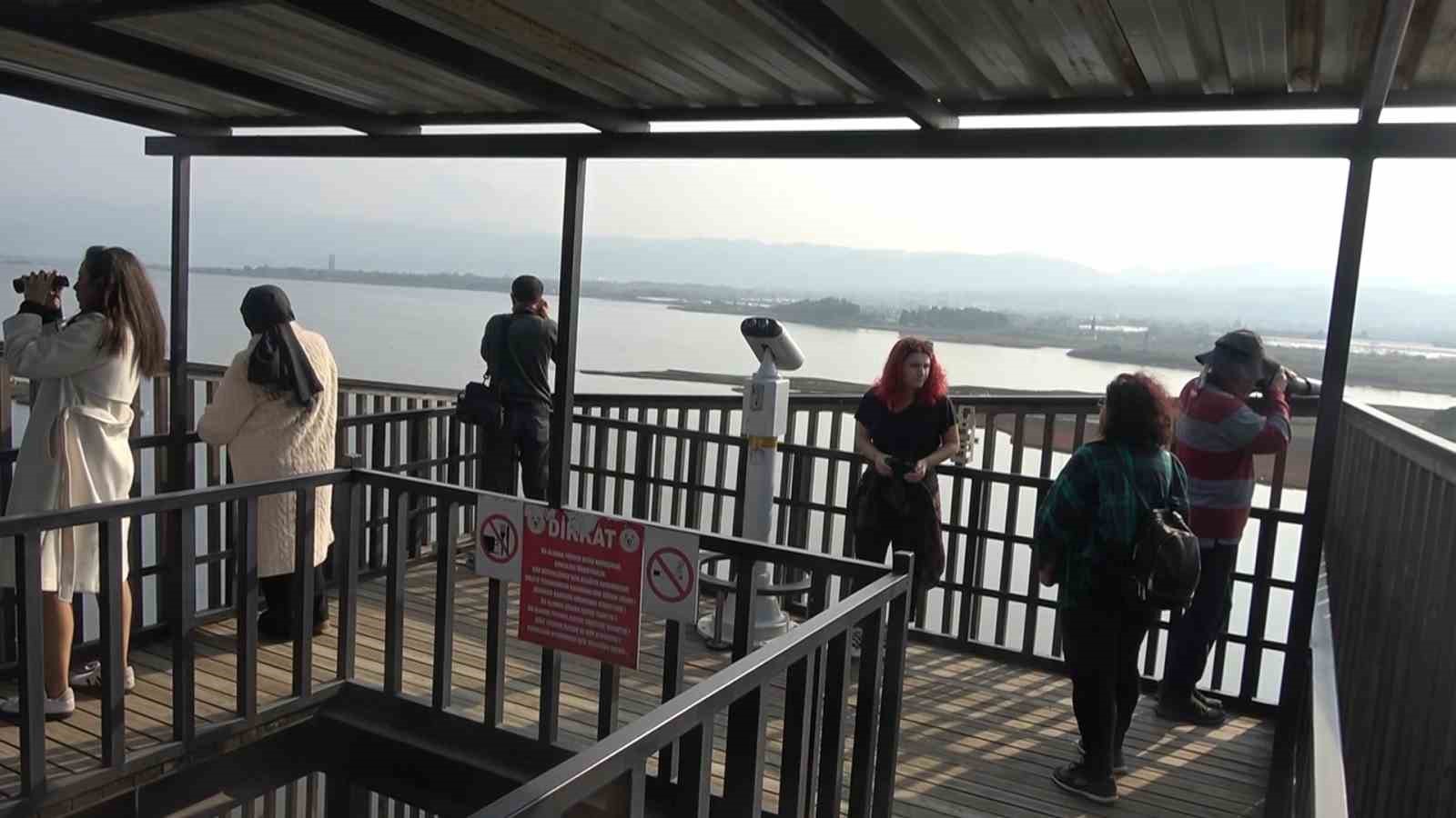 Hersek Lagünü’nde flamingo popülasyonu artıyor