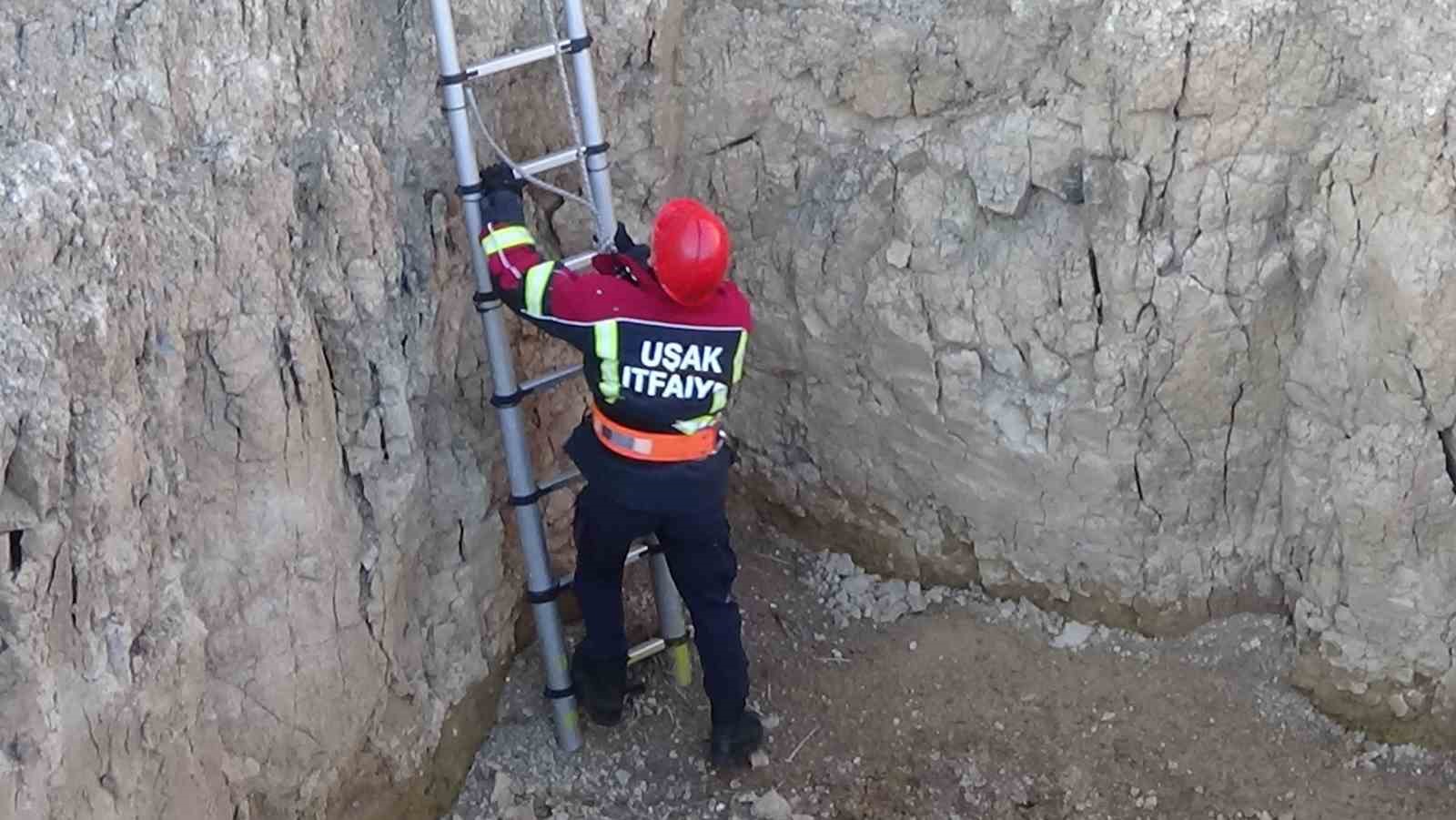 Dört metrelik çukura düşen keçi itfaiyece kurtarıldı