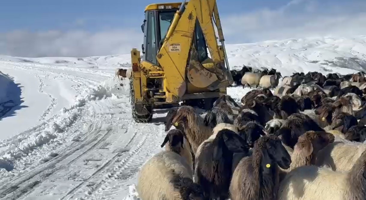 Muş’ta yoğun kar yağışı