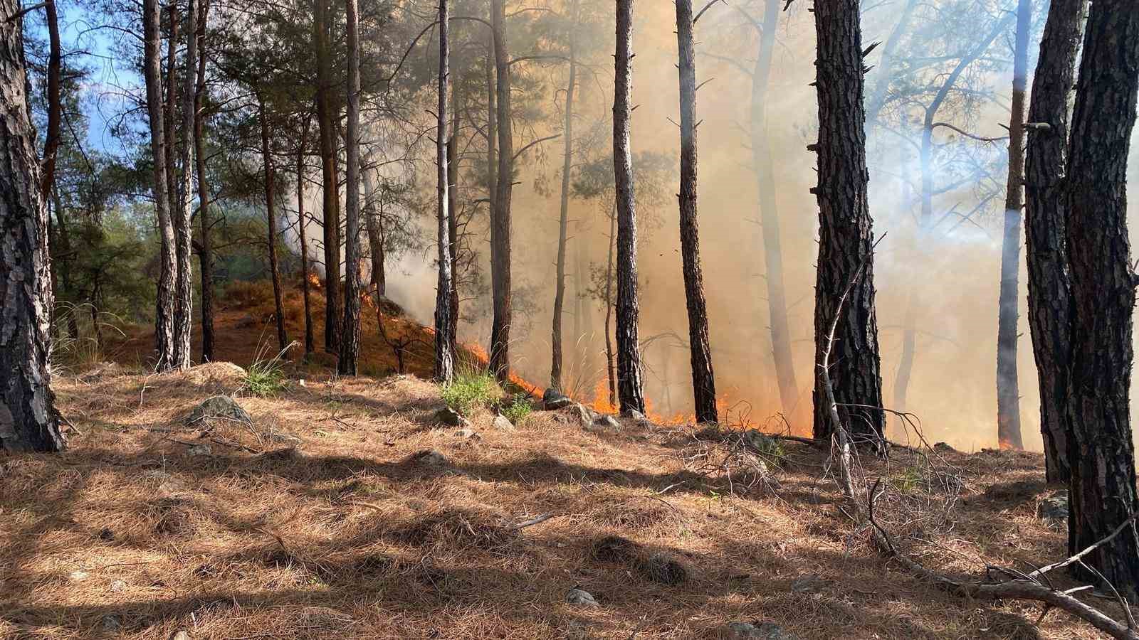 Seydikemer’de orman yangını