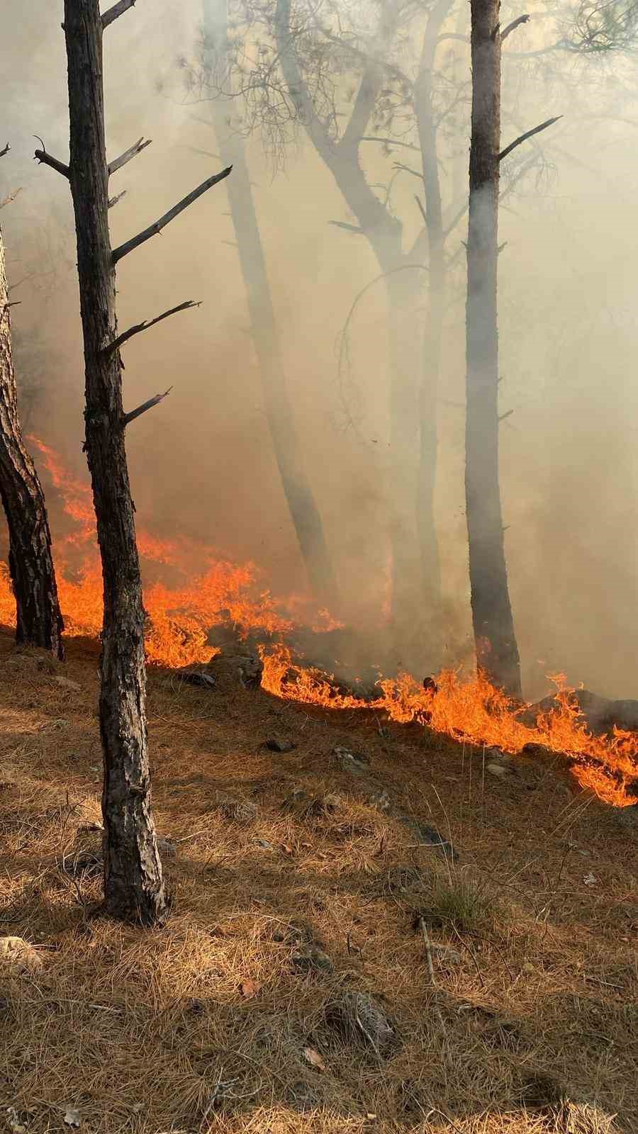Seydikemer&rsquo;de orman yangını
