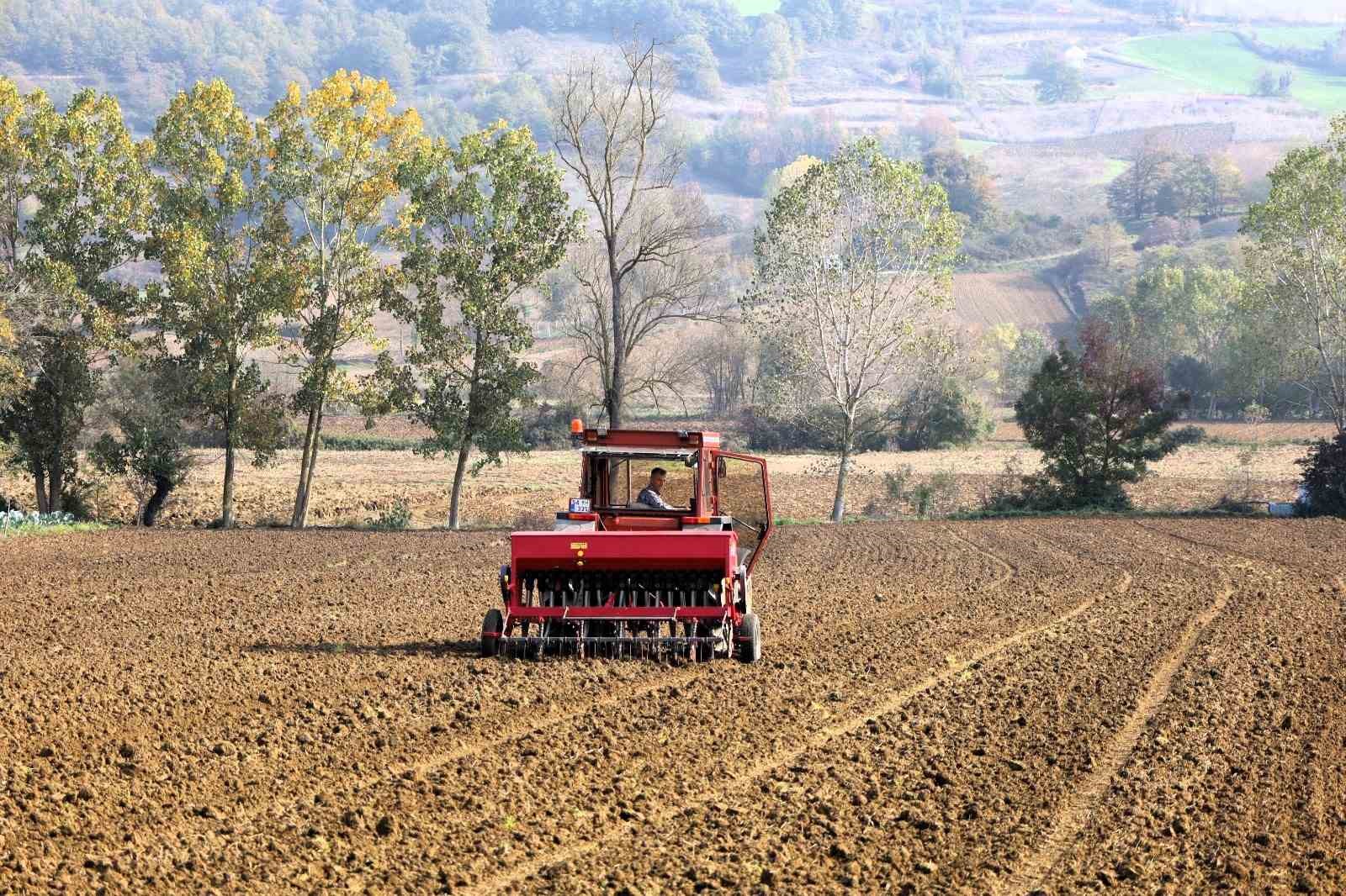 Kocaeli’de çiftçilere yüzde 75 hibeli tohum desteği
