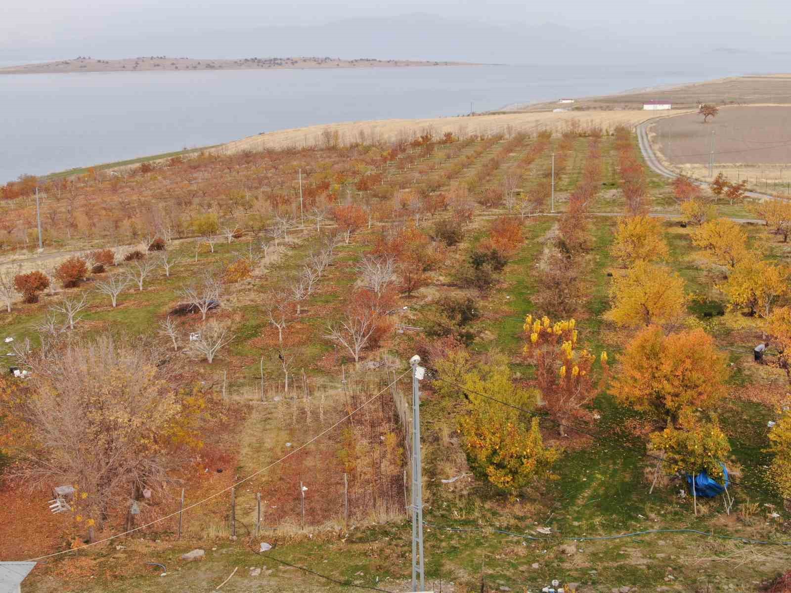 Van&rsquo;da kartpostallık sonbahar manzaraları
