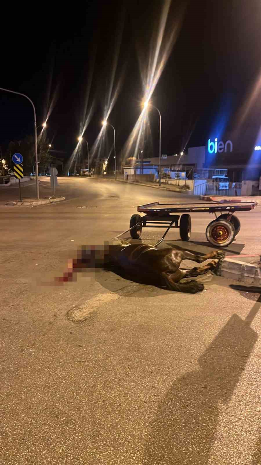 Başıboş at, araca çarptı