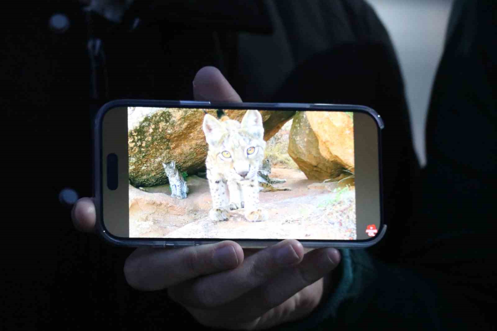 Ormanın hayaletleri ailece g&ouml;r&uuml;nt&uuml;lendi
