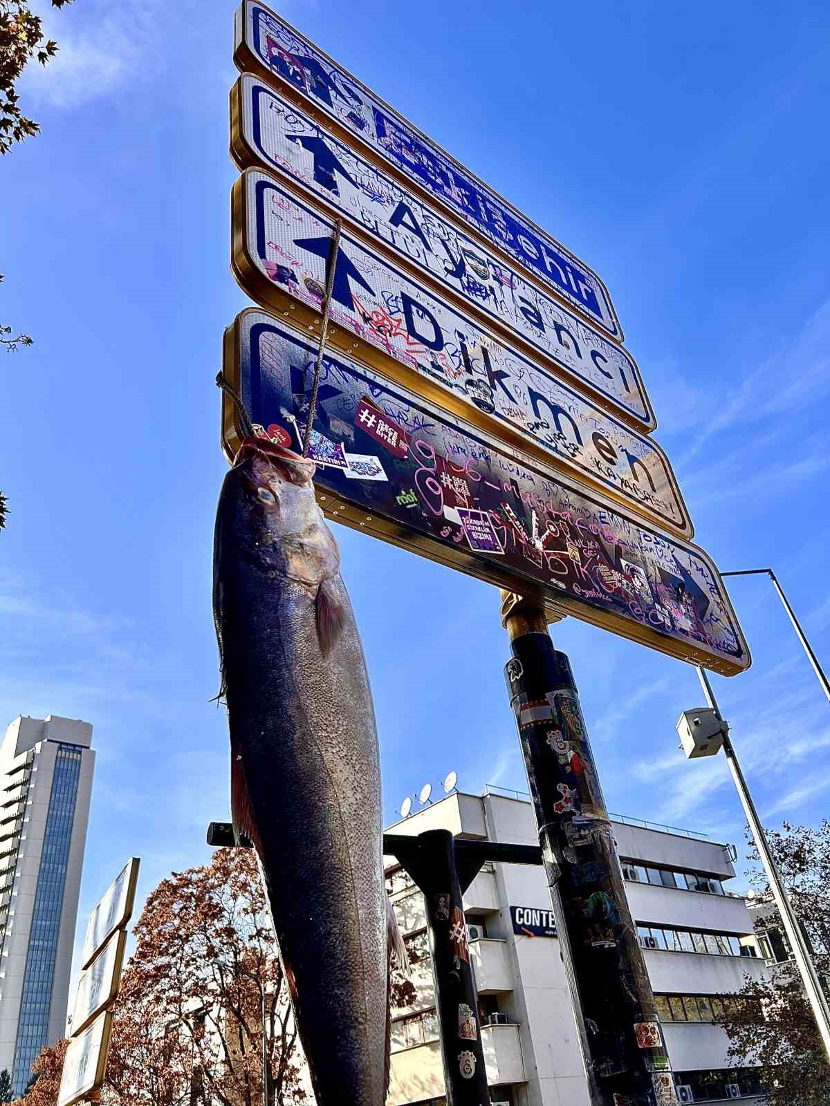Ankara’nın meşhur tabelasına balık hasadı