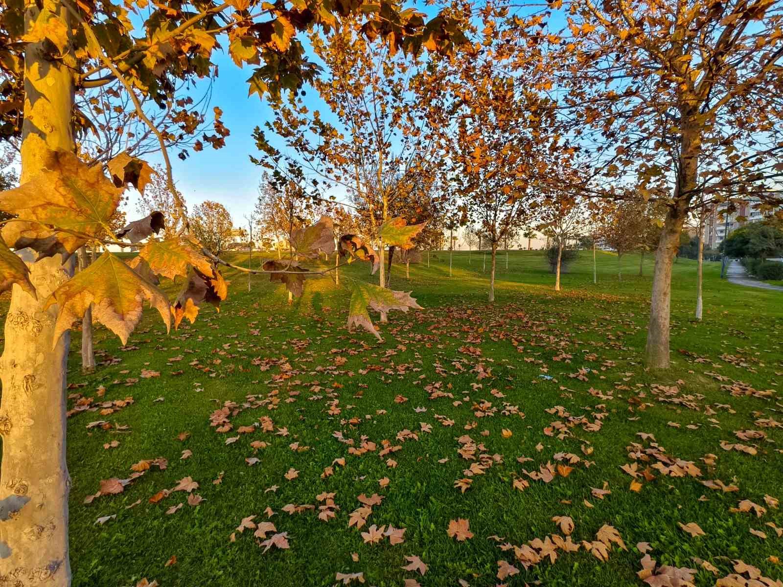 Güzelyurt sonbahar renklerine büründü