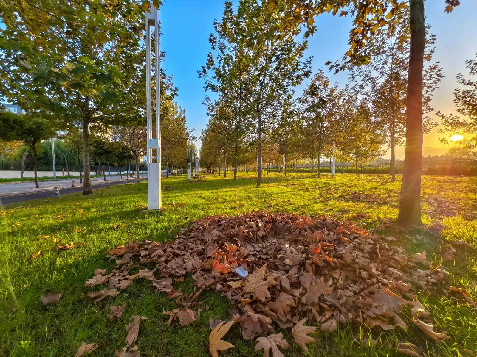 G&uuml;zelyurt sonbahar renklerine b&uuml;r&uuml;nd&uuml;
