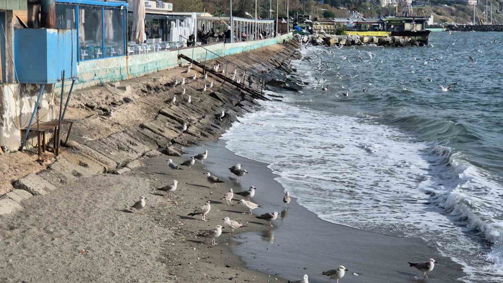 Tekirdağ&rsquo;da lodos fırtınası balık&ccedil;ıları limana d&ouml;nd&uuml;rd&uuml;
