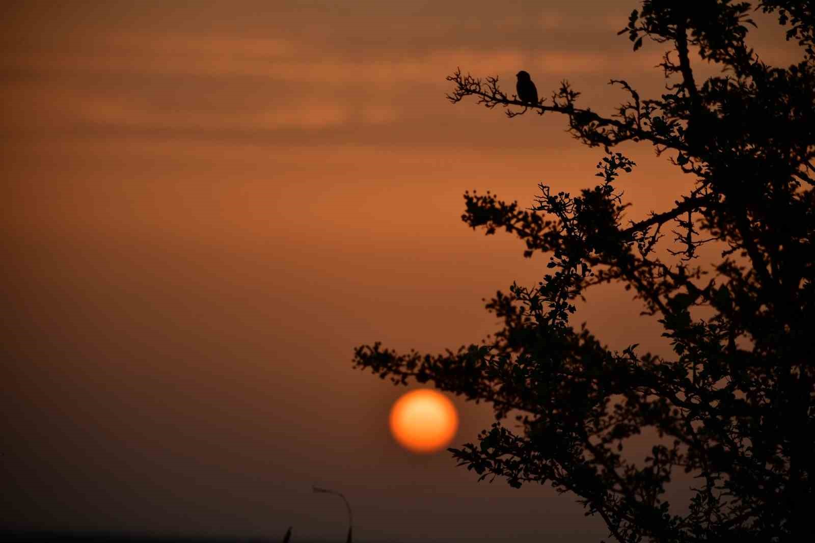 Kuş Cenneti’nde sonbahar