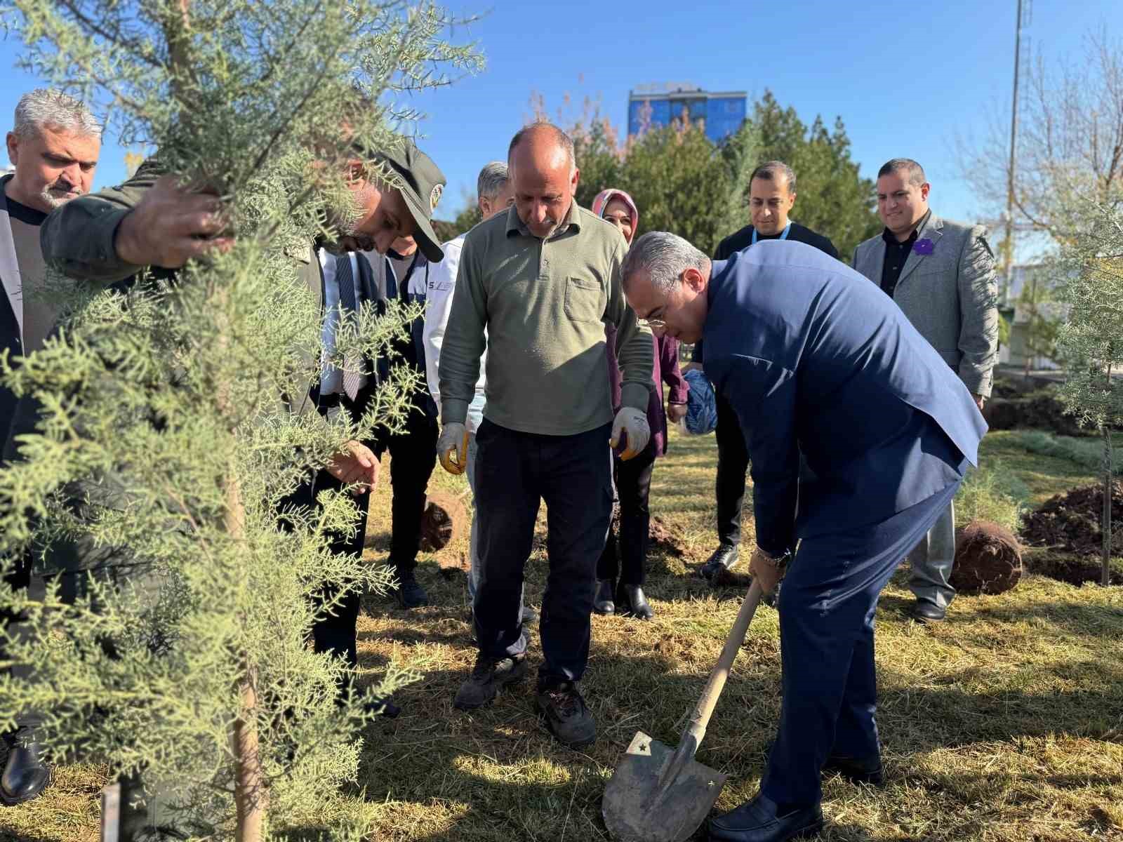 Diyarbakır’da Dünya Prematüre Günü etkinliği