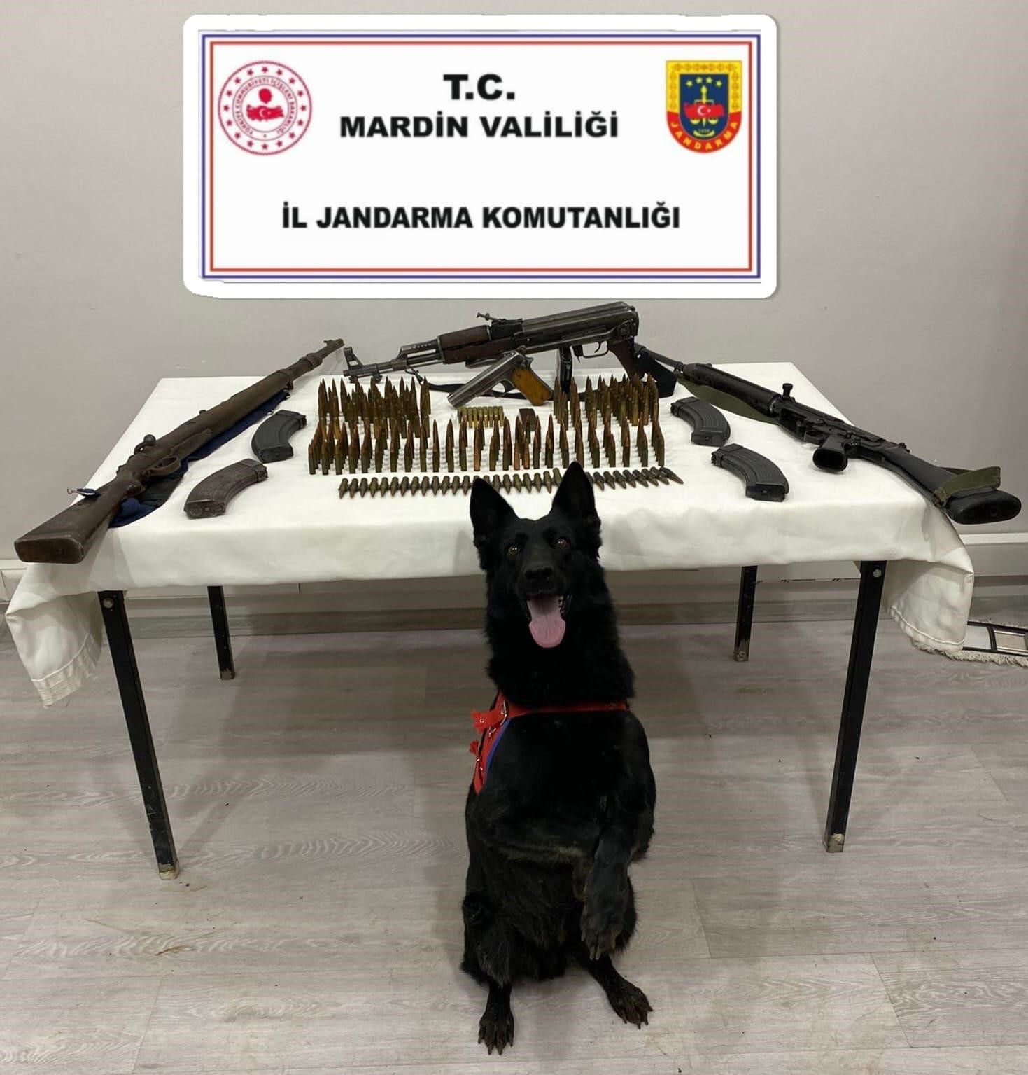 Mardin’de çok sayıda kaçak silah ve mühimmat ele geçirildi

