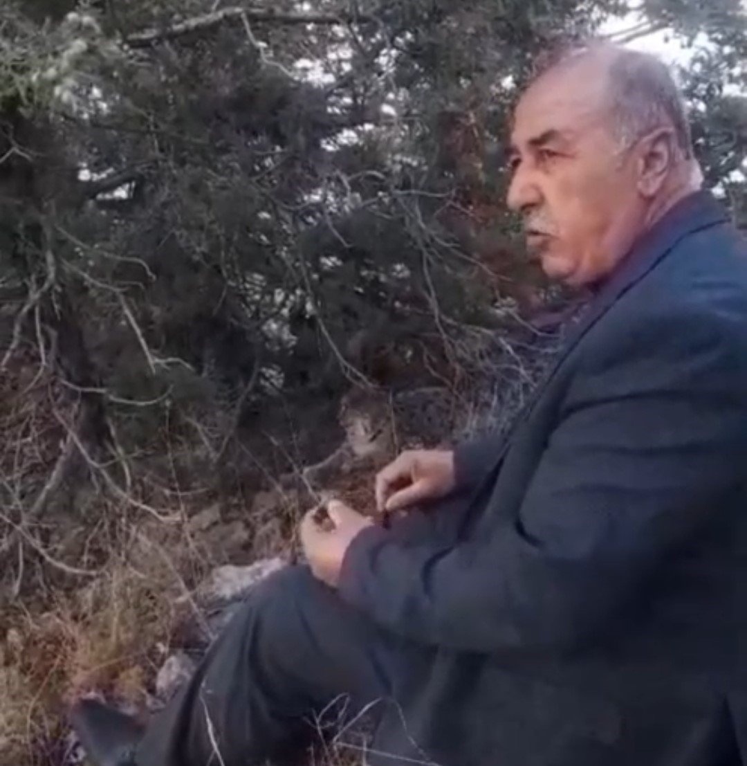 Van’da vaşak görüntülendi