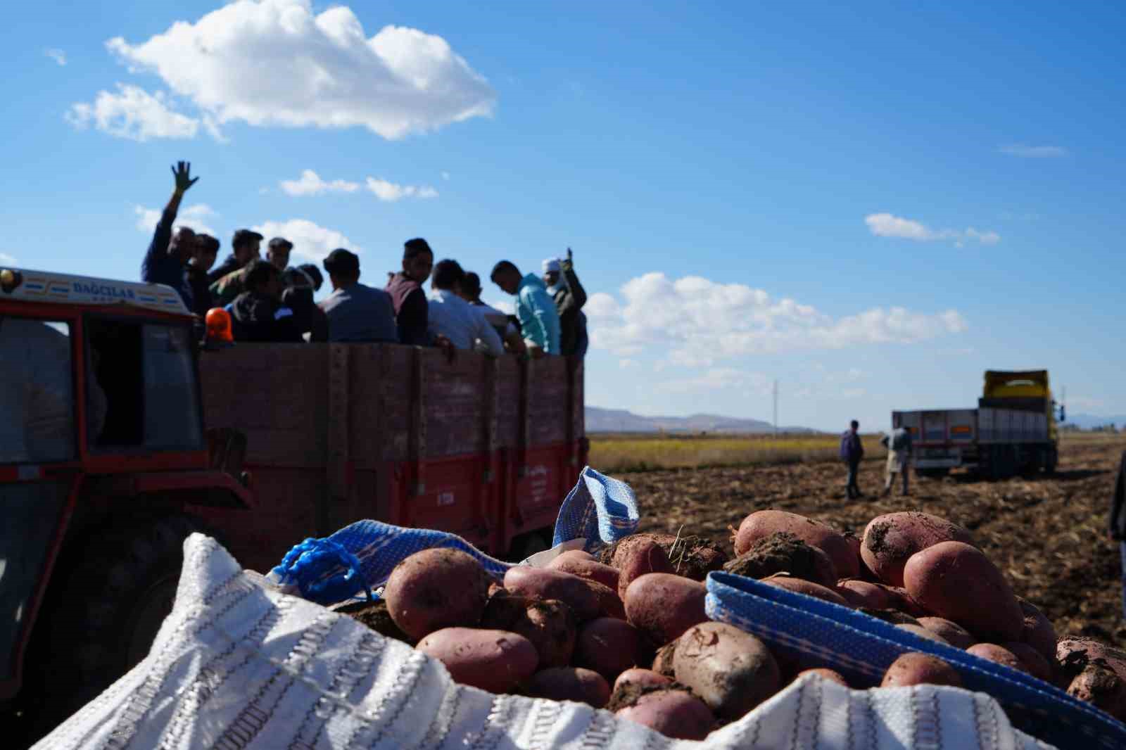 Bayburt&rsquo;un &Ccedil;ayıryolu k&ouml;y&uuml;ndeki patates hasadına İranlı iş&ccedil;iler destek veriyor
