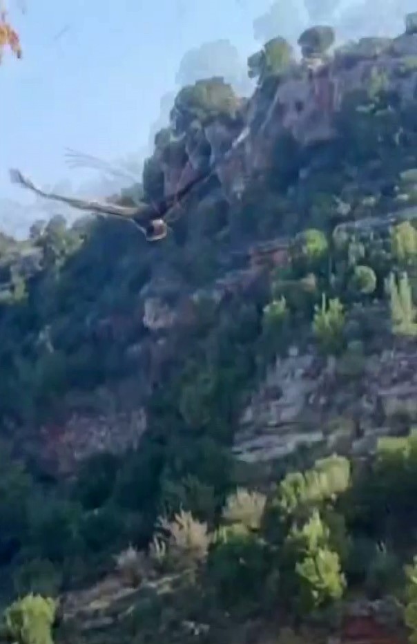 Korku dolu anlar: Yılanın boğazladığı kartalı kurtardı
